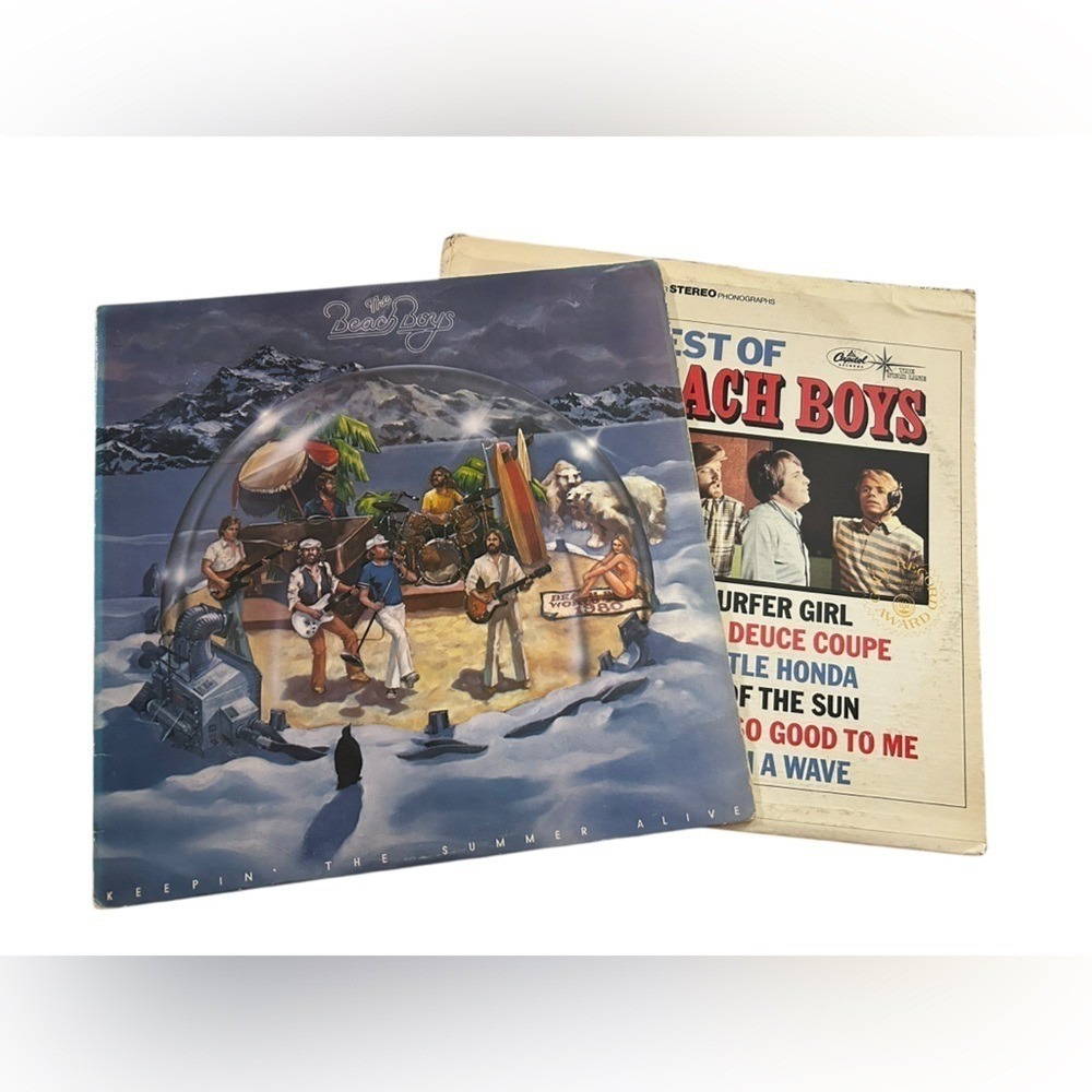 The Beach Boys Vinyl Record Bundle Coastal Music Lover DJ Set Vintage Tunes